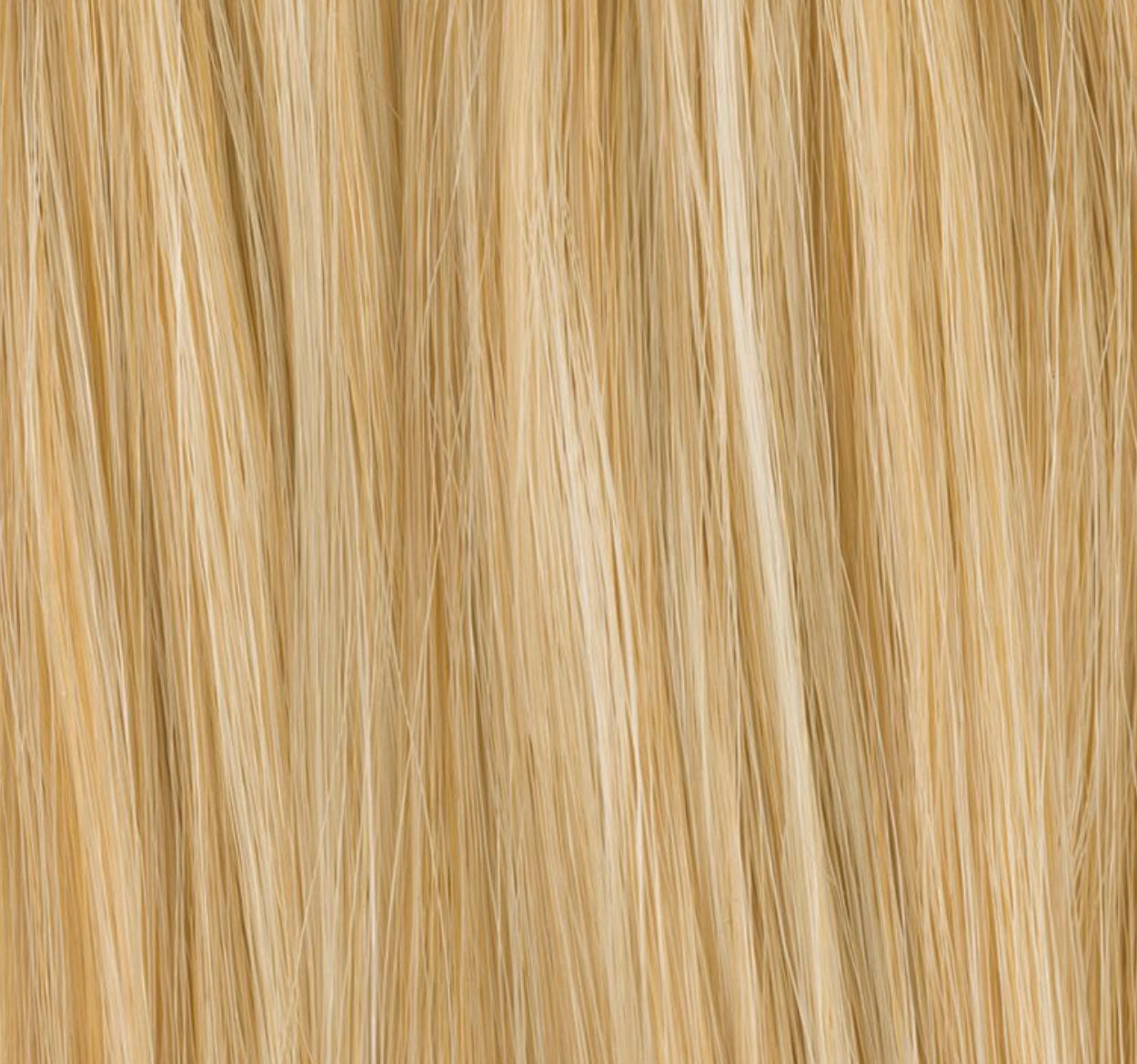 Chignon Sherry