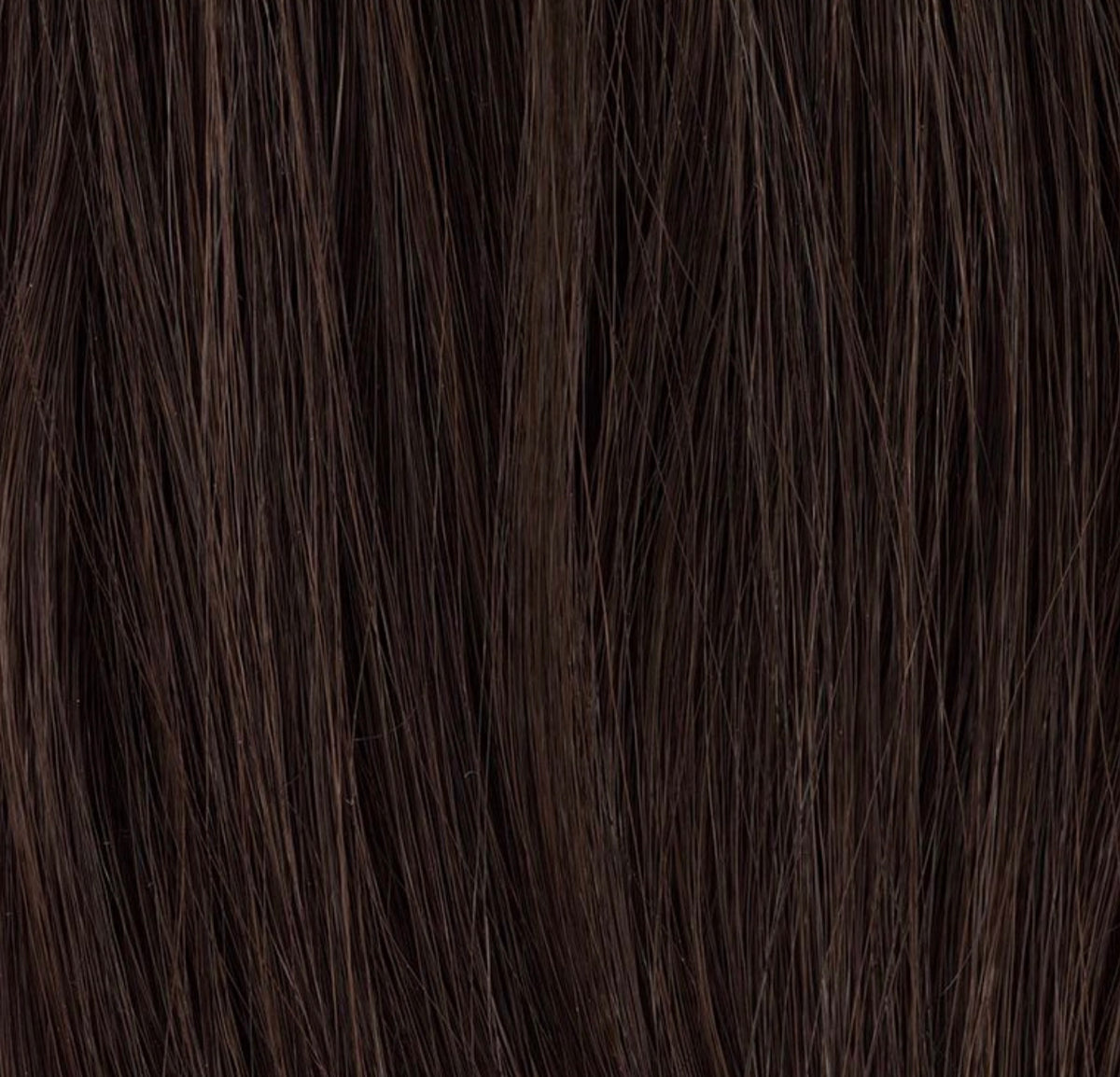Chignon Cassis Ellen Wille, coloris Espresso Mix