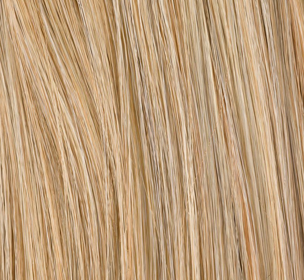 Chignon Cassis Ellen Wille, coloris Sandy Blonde Mix