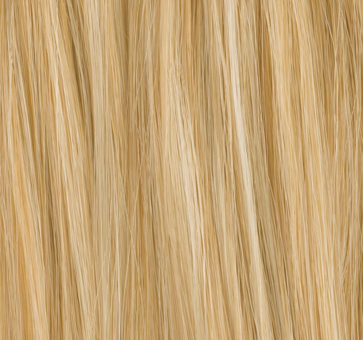 Chignon Sherry Ellen Wille, coloris Champagne Mix