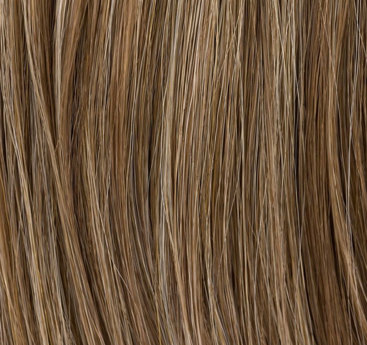 Chignon Sherry Ellen Wille, coloris Dark Sand Mix
