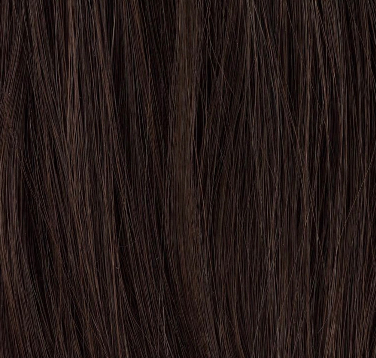 Chignon Sherry Ellen Wille, coloris Espresso Mix