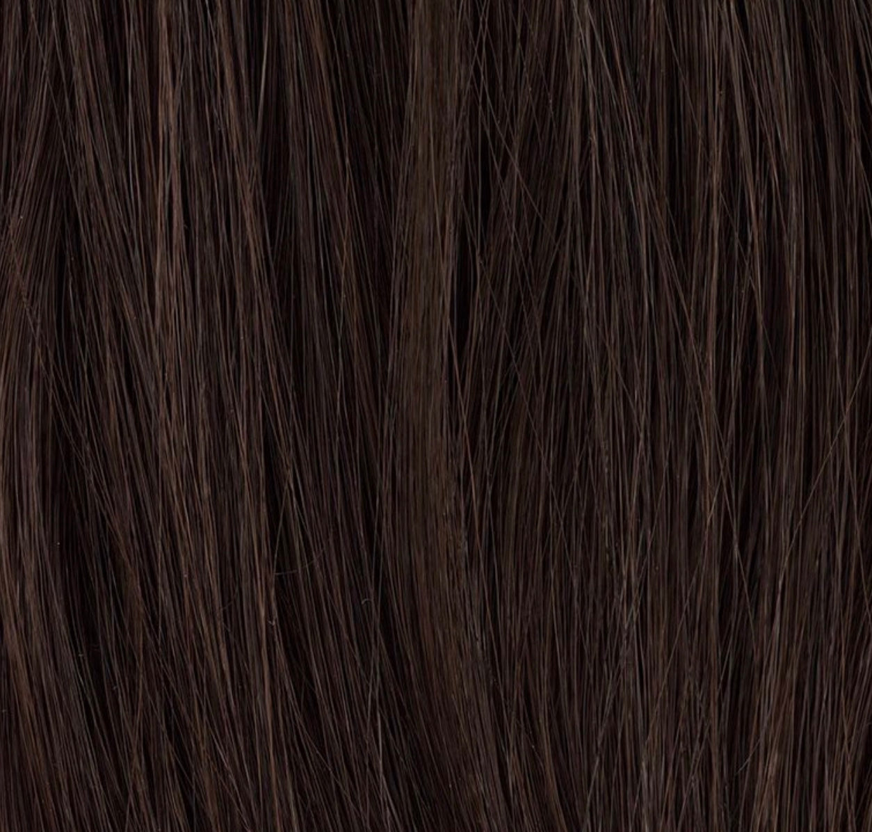 Chignon Sherry