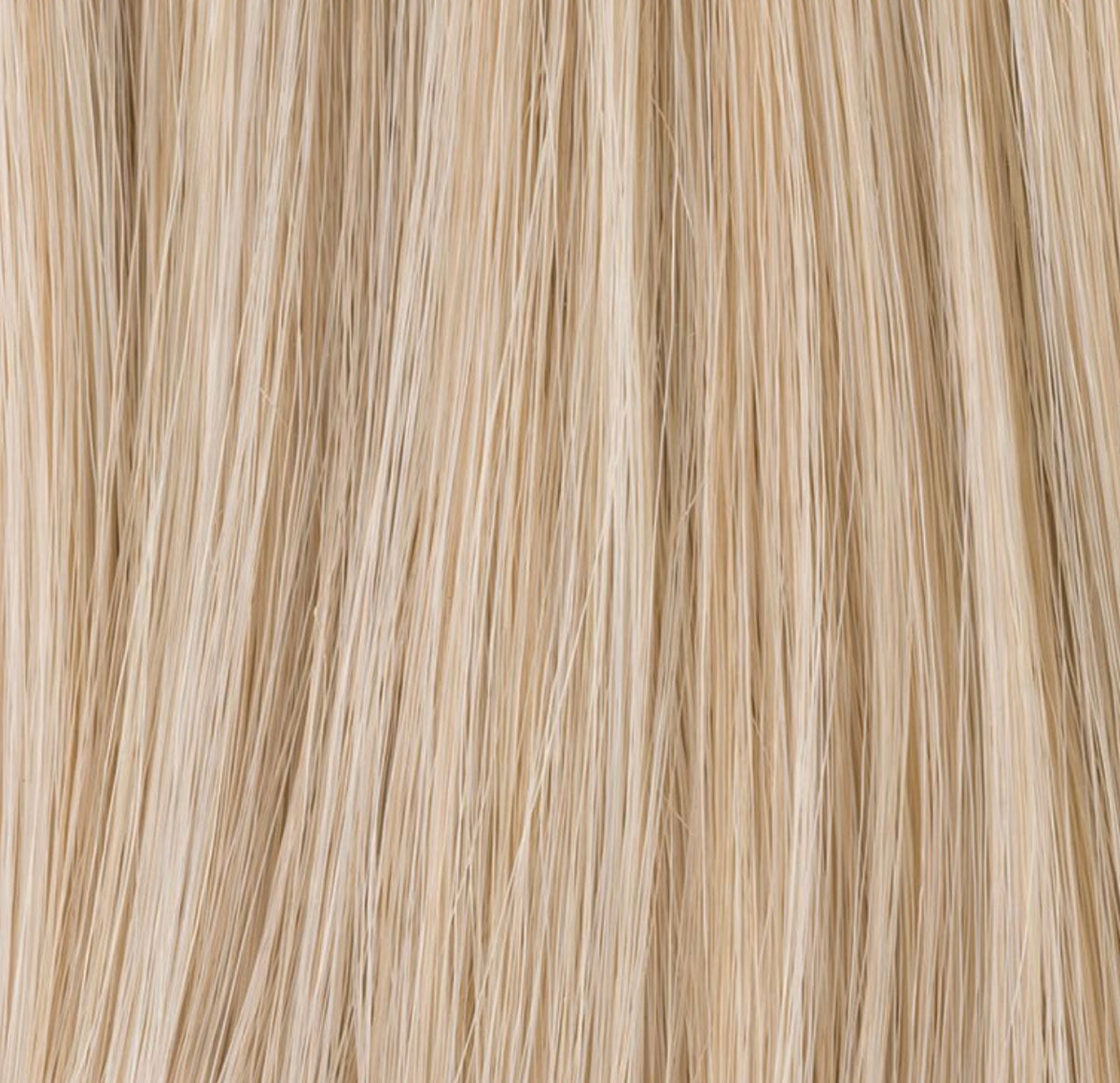 Extension Chouchou Cava Ellen Wille, coloris Light Champagne Mix