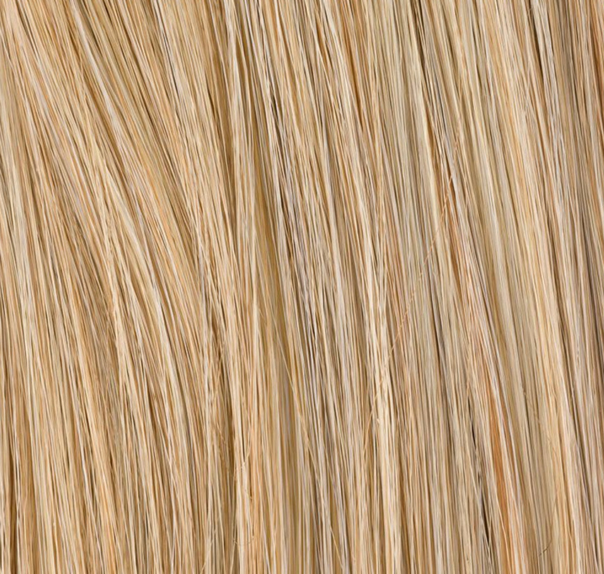 Extension Chouchou Cava Ellen Wille, coloris Sandy Blonde Mix
