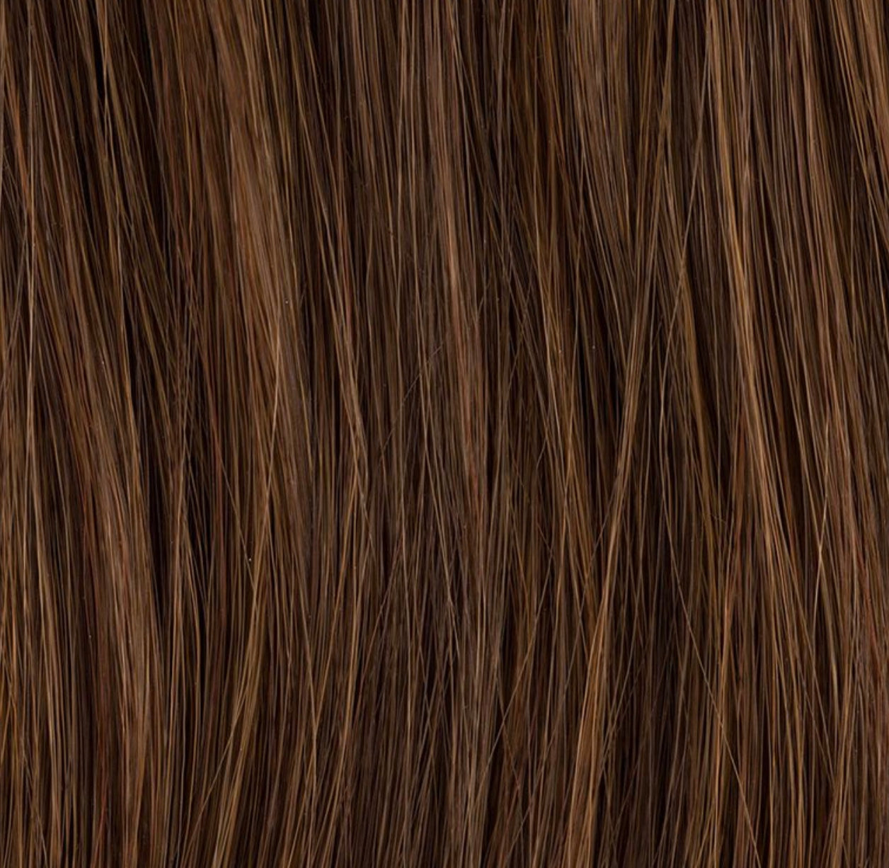 Chignon Sherry