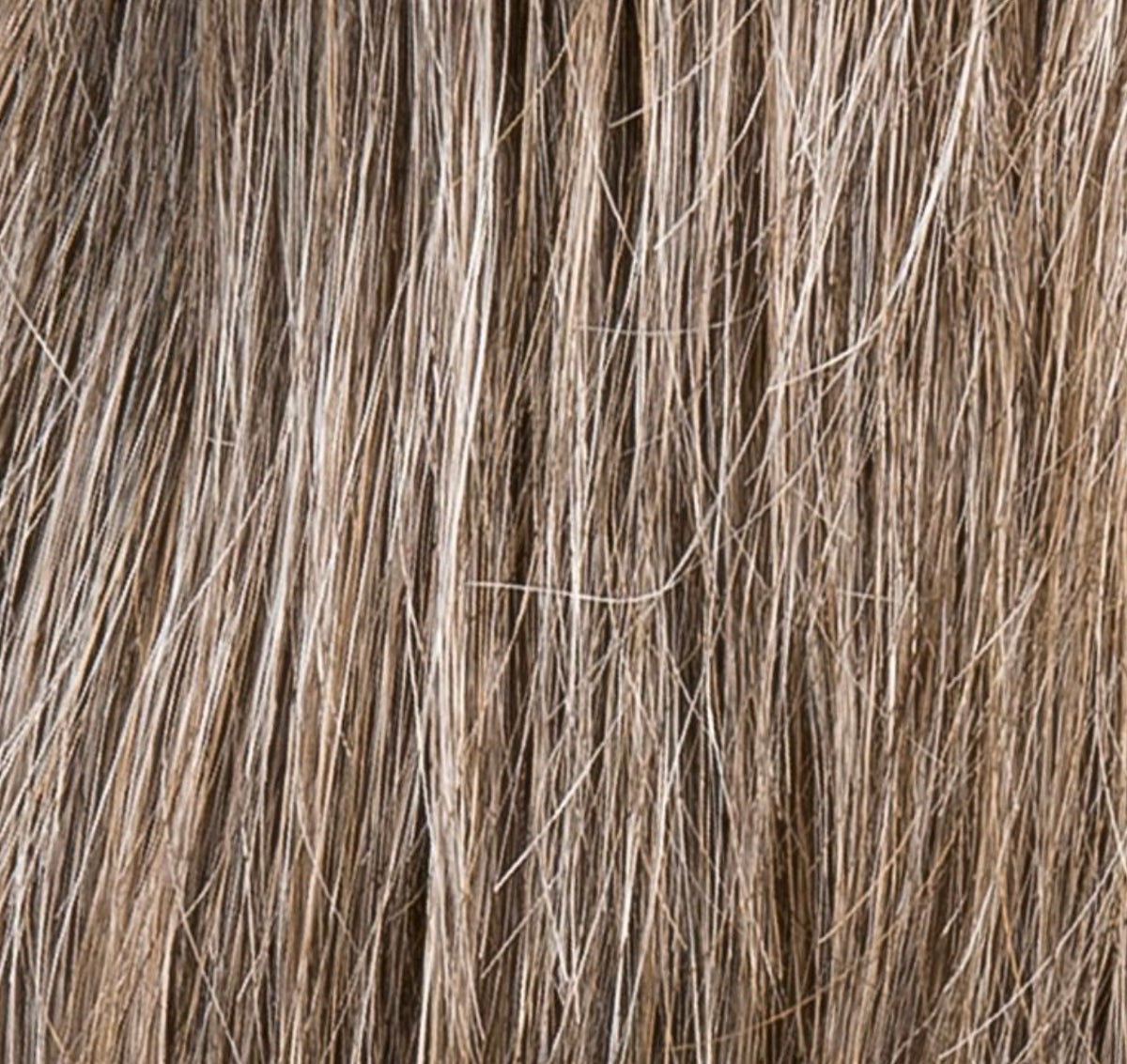 Perruque Chat Ellen Wille, coloris Smoke Frosted