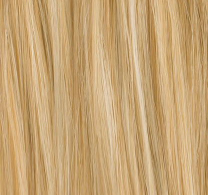Chignon Sherry