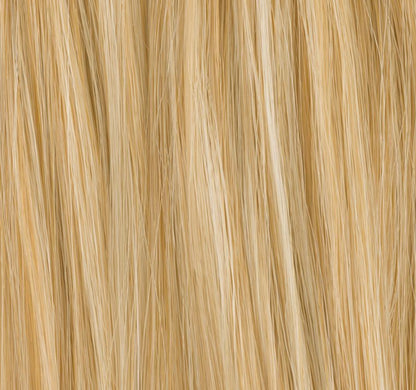 Chignon Cassis Ellen Wille, coloris Champagne Mix