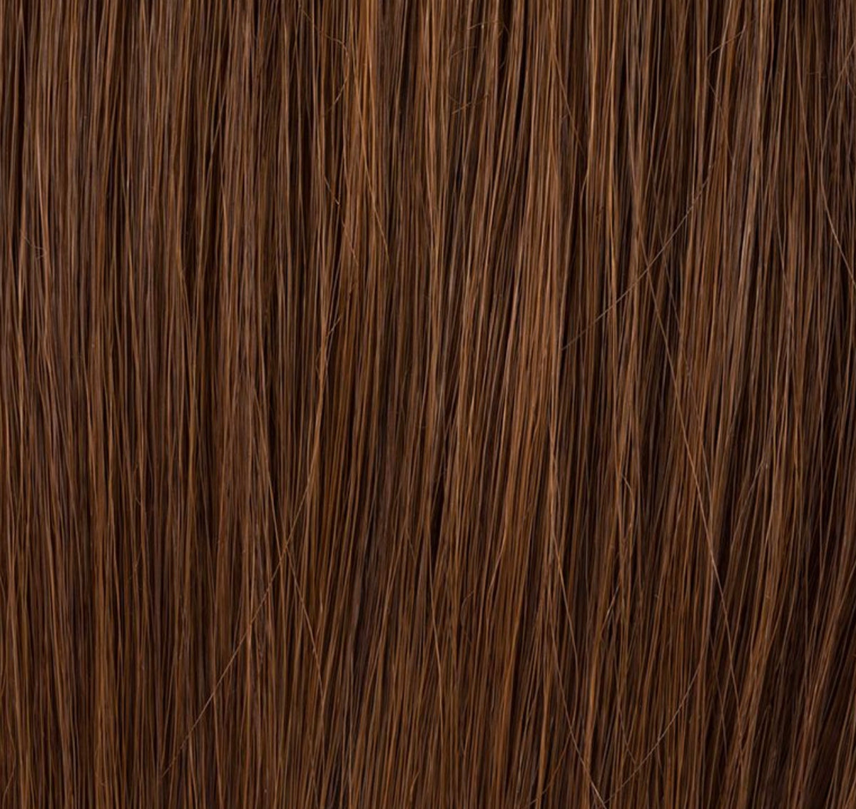 Chignon Cassis Ellen Wille, coloris Chocolate Mix