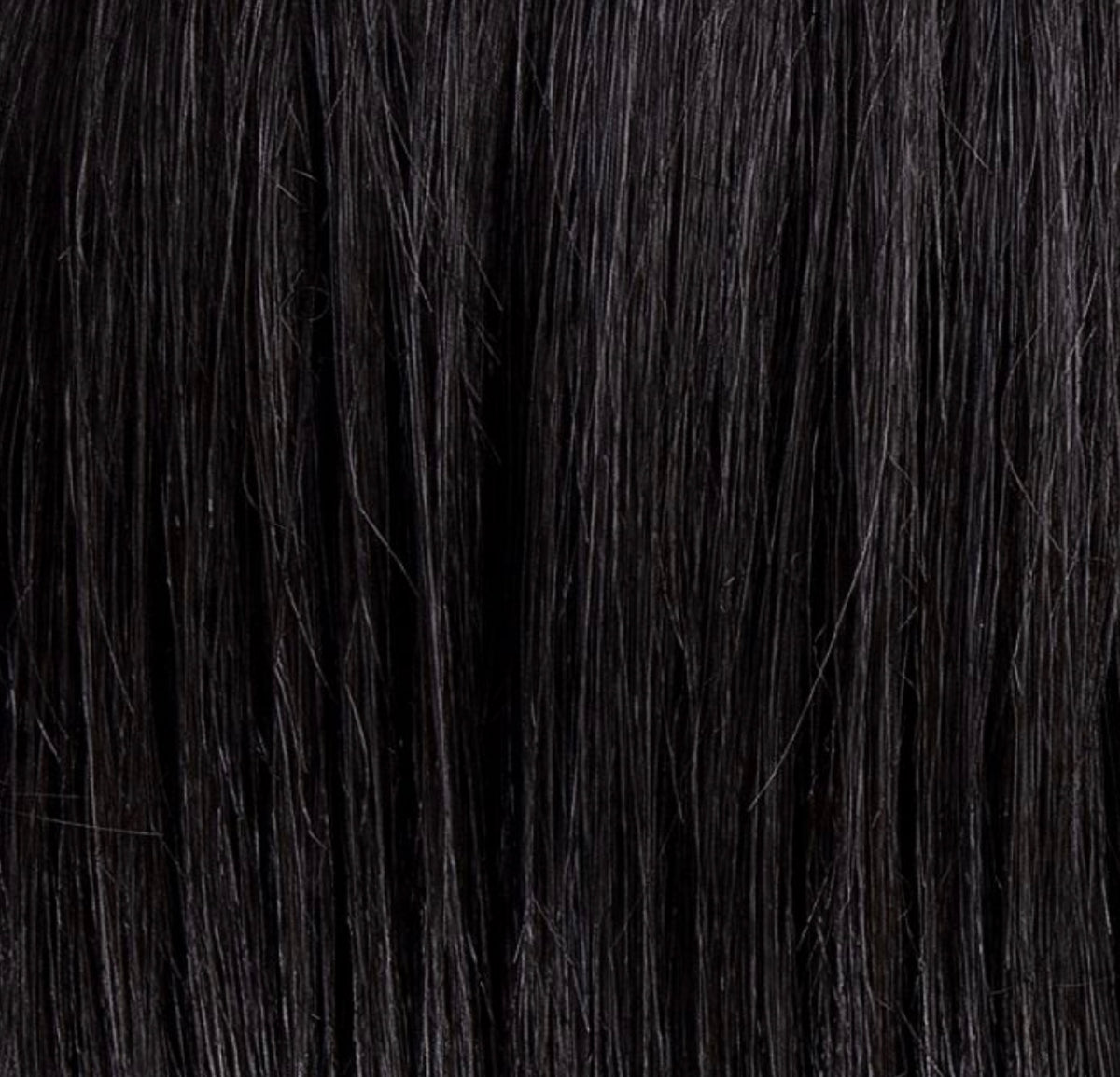Chignon Sherry Ellen Wille, coloris Black