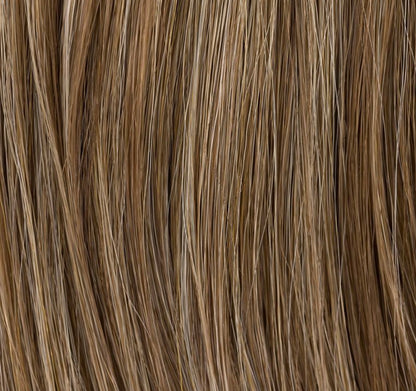 Chignon Sherry Ellen Wille, coloris Dark Sand Mix