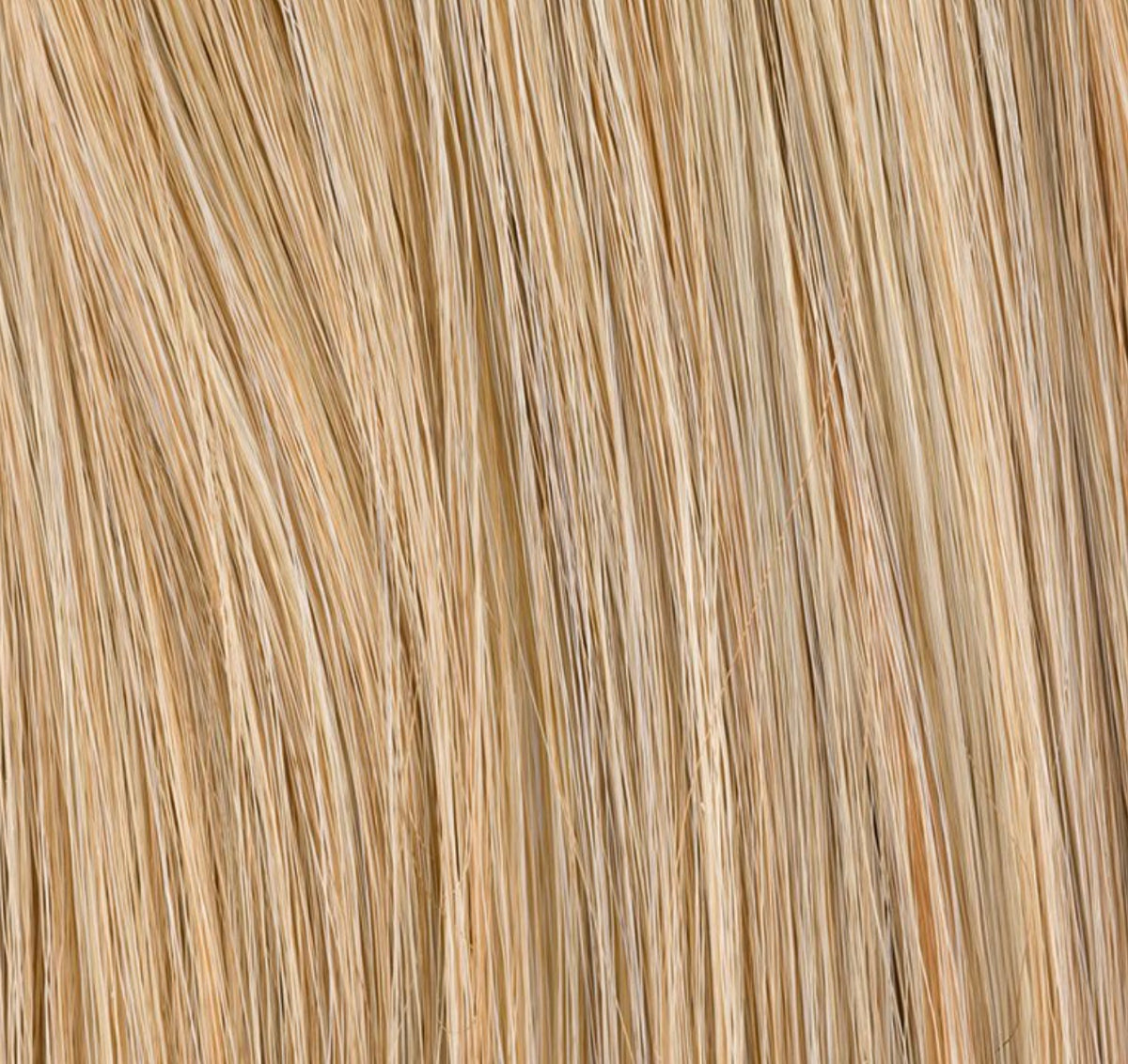 Chignon Sherry Ellen Wille, coloris Sandy Blonde Mix