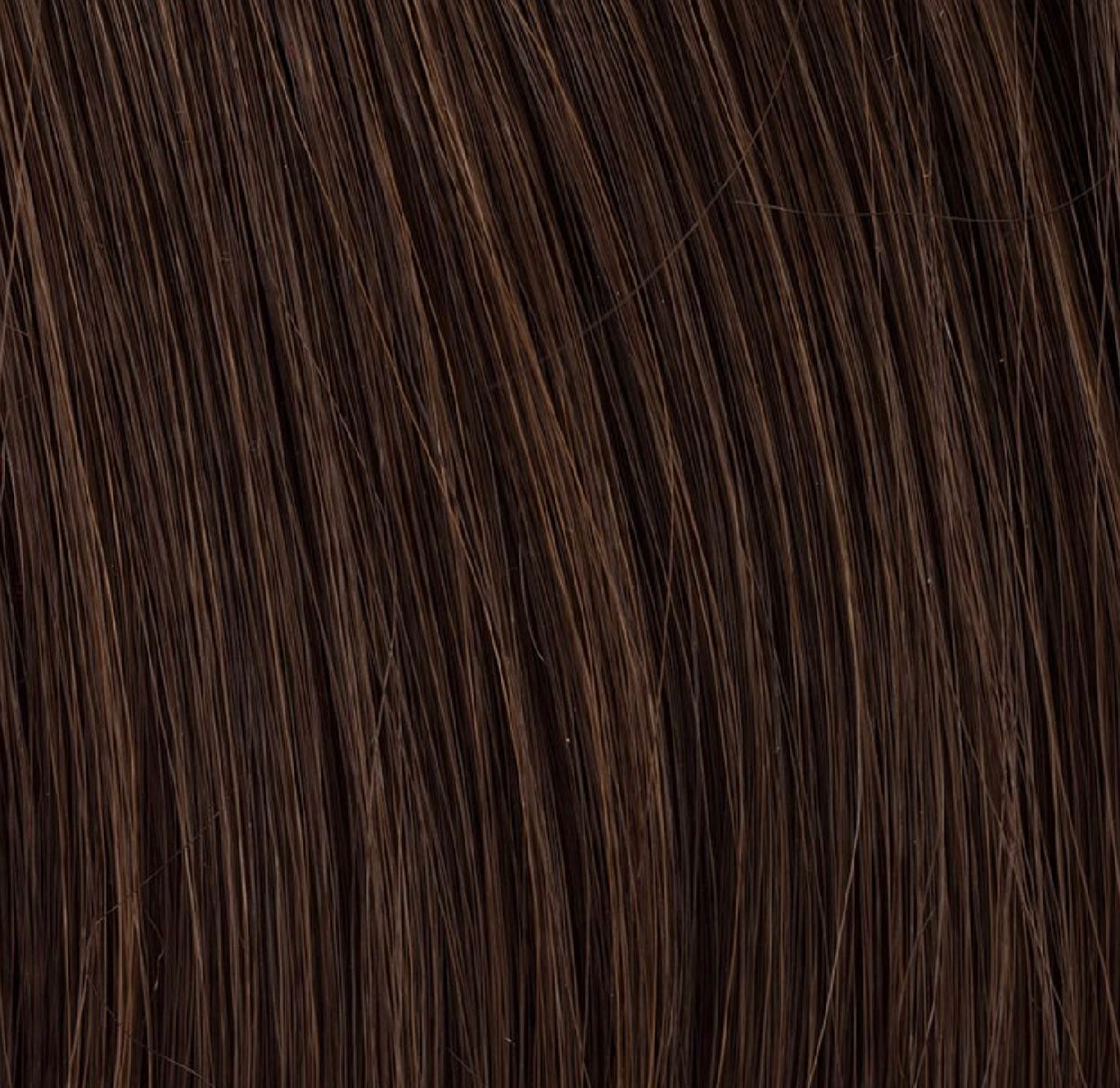 Chignon Sherry