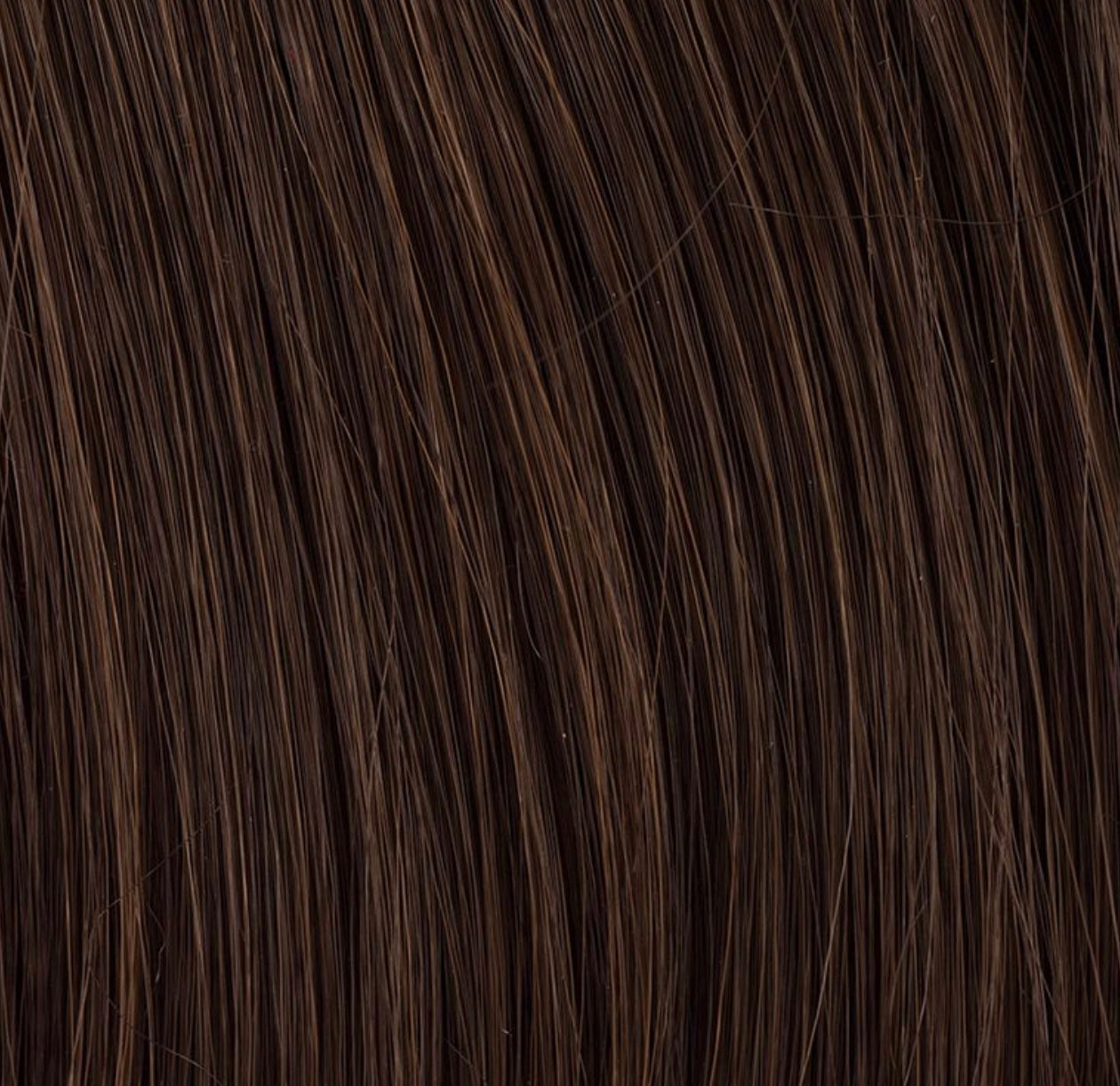 Chignon Cassis