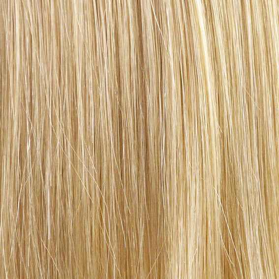 Perruque Vision Club Lace Part Gisela Mayer, coloris L22