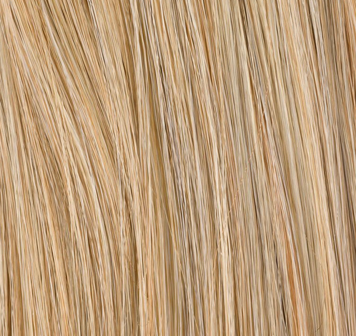 Queue de cheval Frizzante